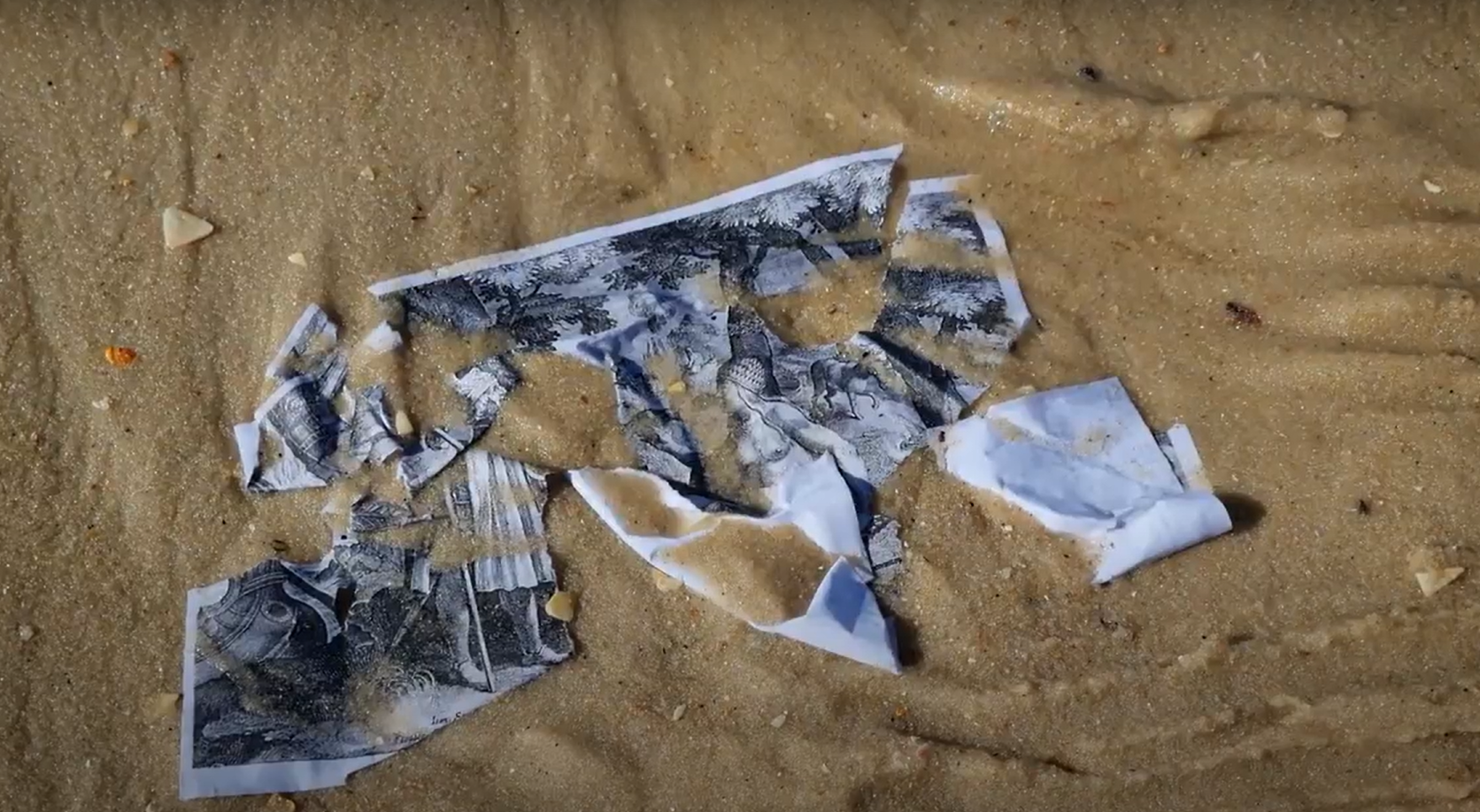 Escola de Artes Visuais da Vila das Artes abre 20 vagas para oficina “Performance e Fabulação Crítica”