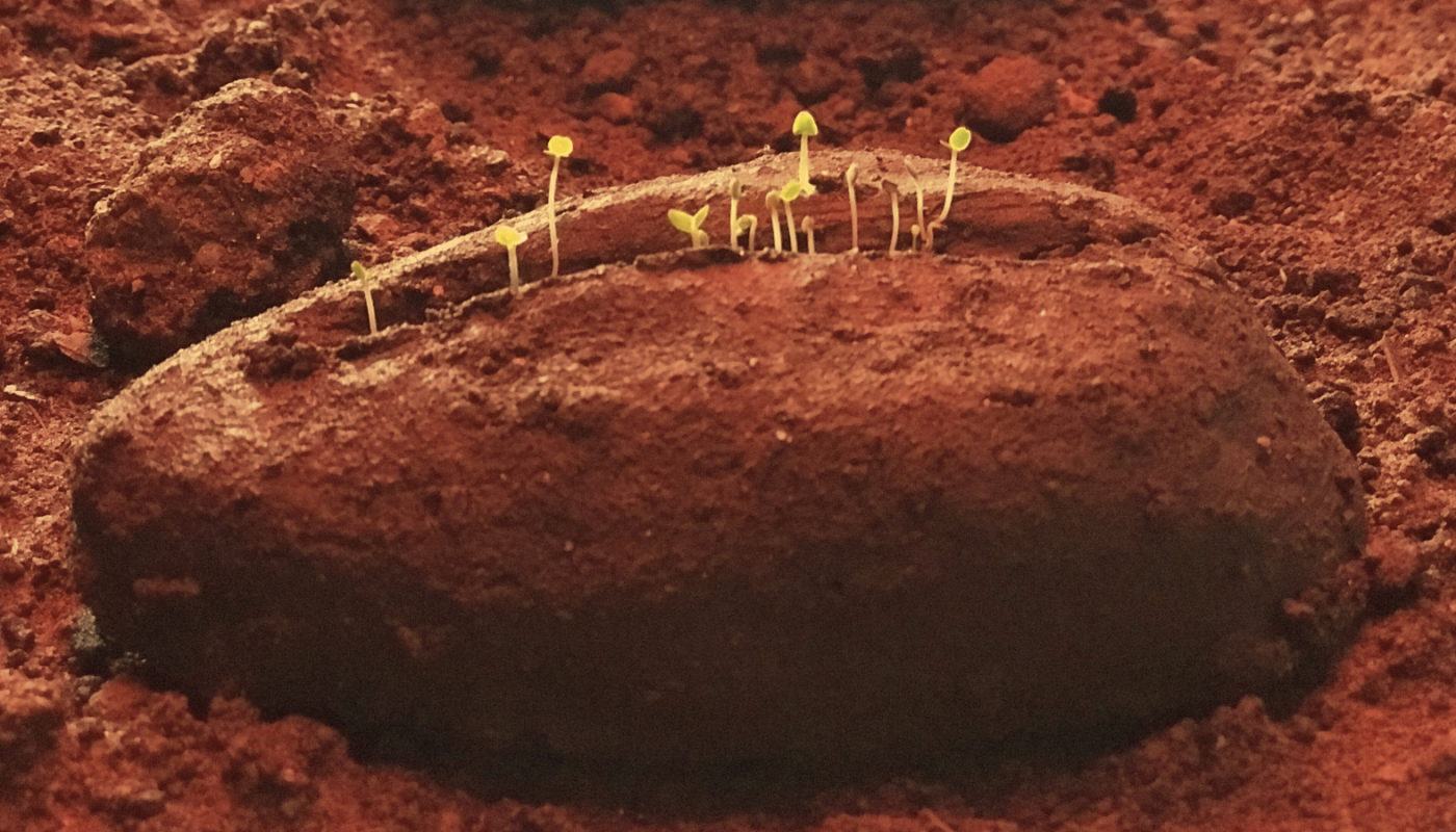 Escola Pública de Artes Visuais da Vila das Artes abre inscrições para Laboratório “Pão Sementeira”